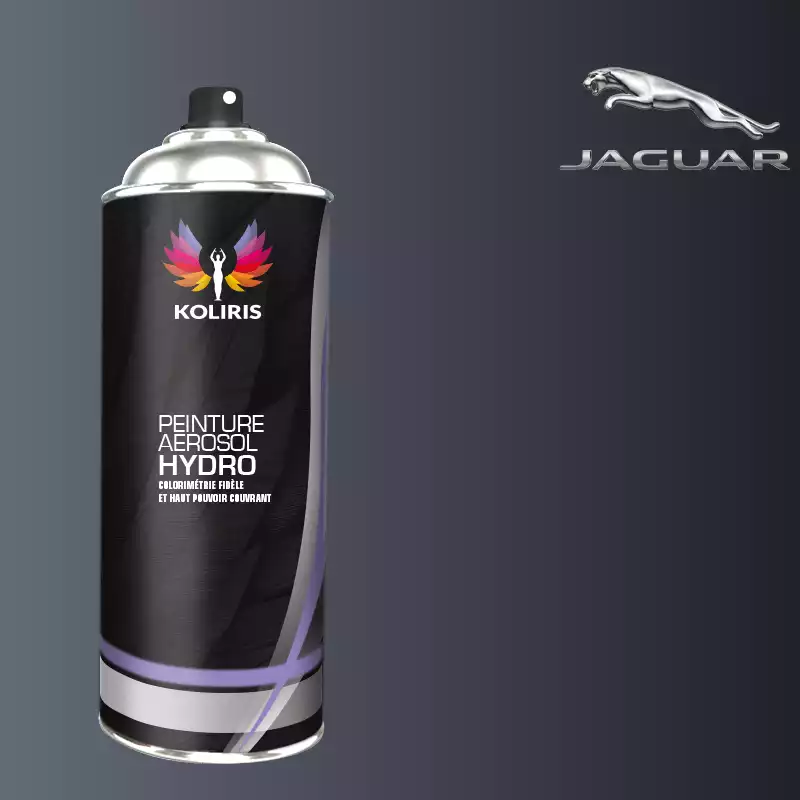 Bombe de peinture voiture hydro Jaguar 400ml