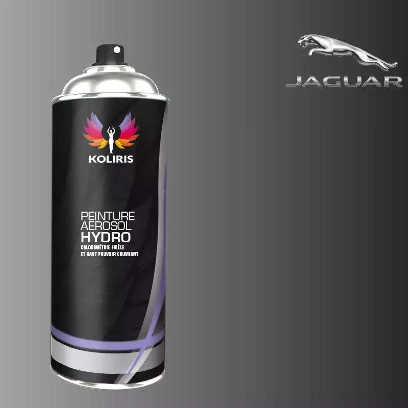 Bombe de peinture voiture hydro Jaguar 400ml