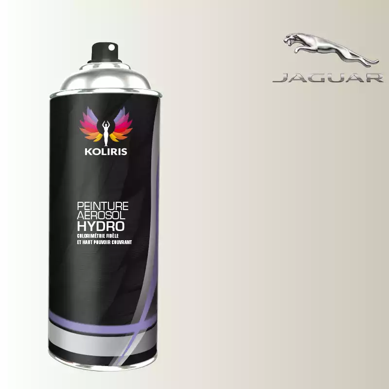 Bombe de peinture voiture hydro Jaguar 400ml