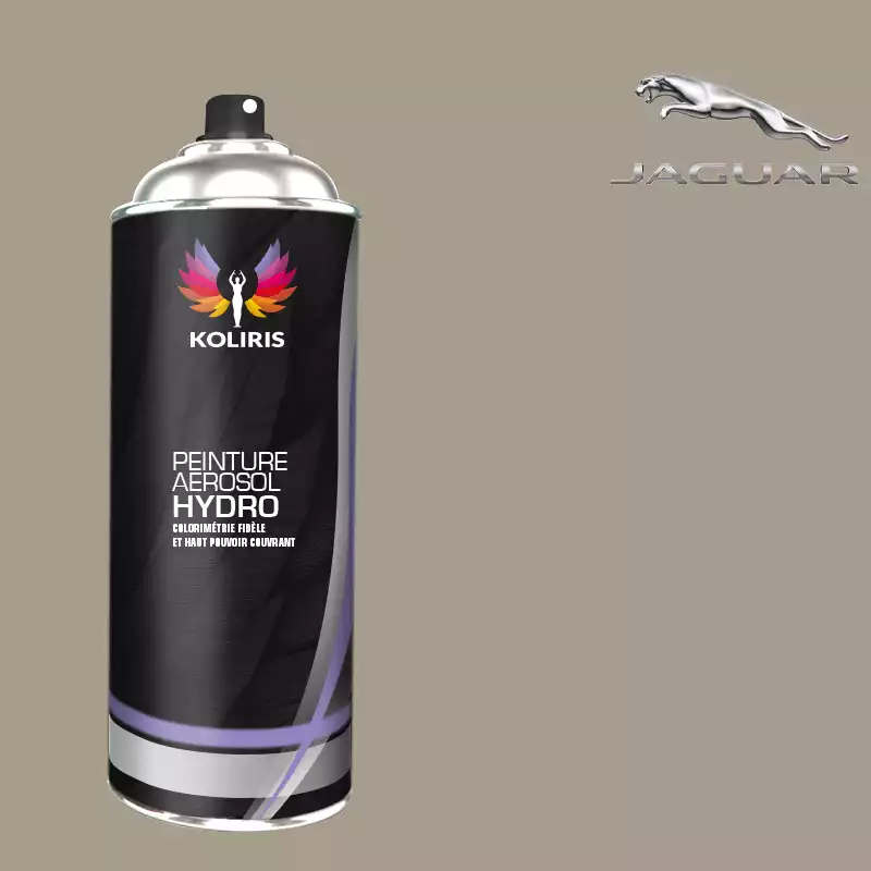 Bombe de peinture voiture hydro Jaguar 400ml