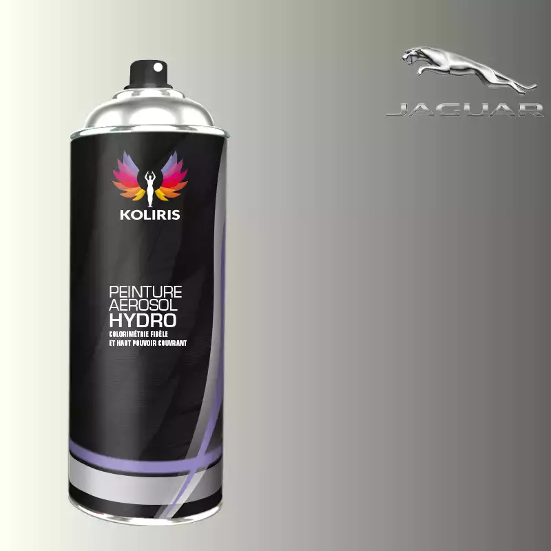 Bombe de peinture voiture hydro Jaguar 400ml