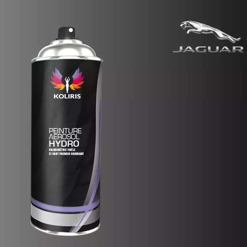 Bombe de peinture voiture hydro Jaguar 400ml