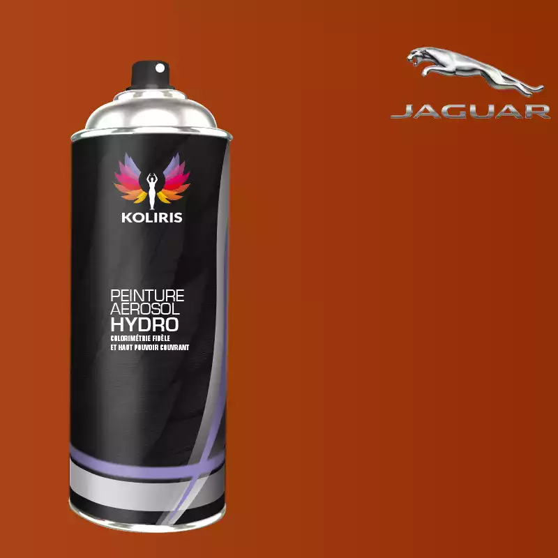 Bombe de peinture voiture hydro Jaguar 400ml