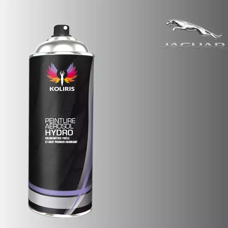 Bombe de peinture voiture hydro Jaguar 400ml