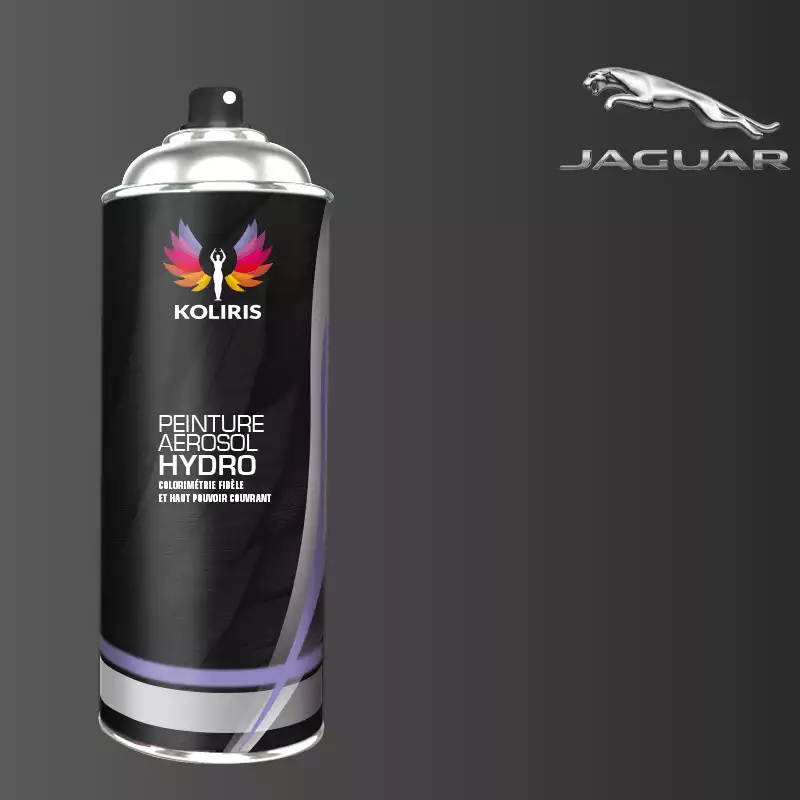 Bombe de peinture voiture hydro Jaguar 400ml