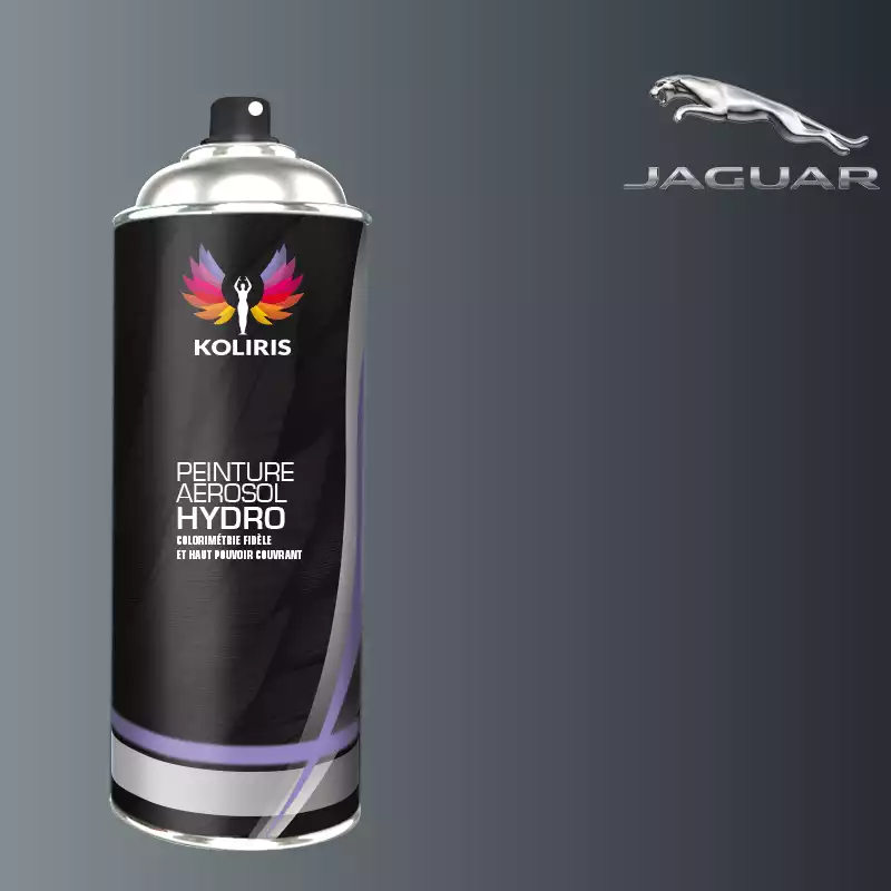 Bombe de peinture voiture hydro Jaguar 400ml