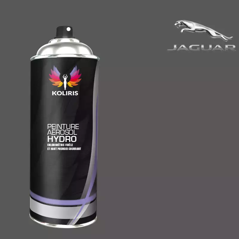 Bombe de peinture voiture hydro Jaguar 400ml