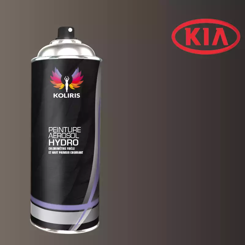 Bombe de peinture voiture hydro Kia 400ml