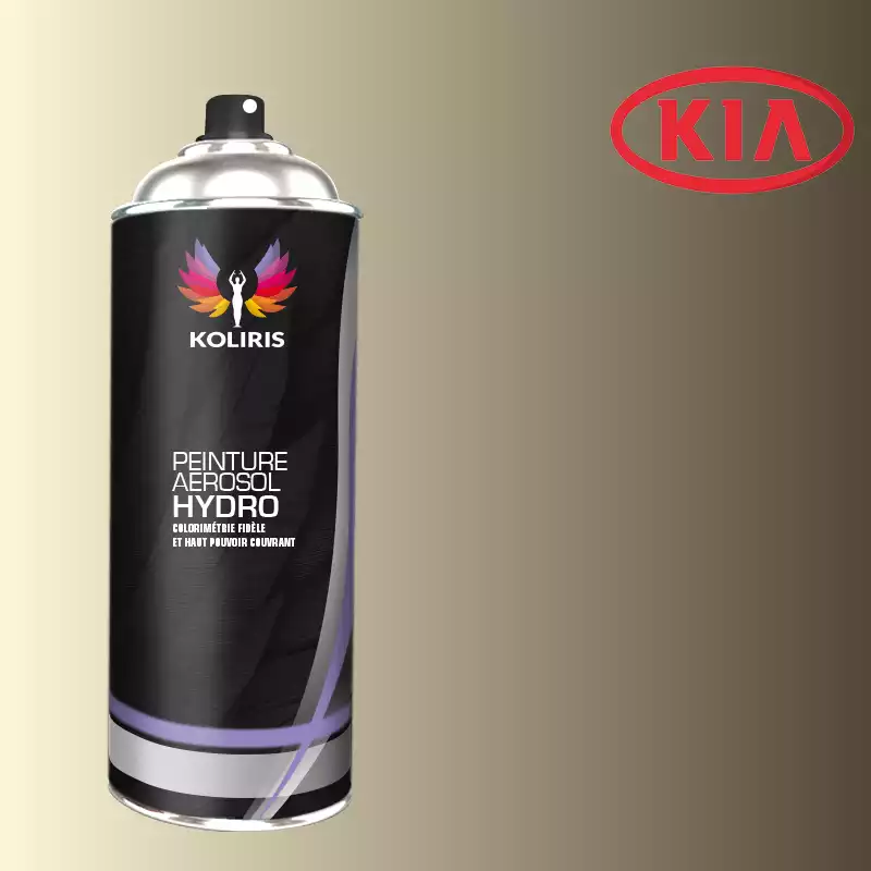 Bombe de peinture voiture hydro Kia 400ml