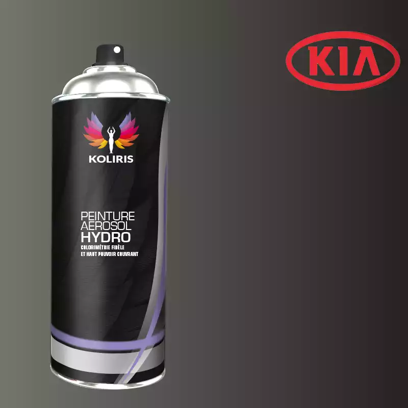 Bombe de peinture voiture hydro Kia 400ml