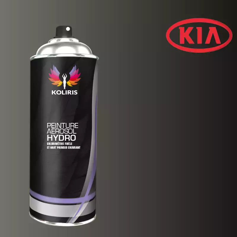 Bombe de peinture voiture hydro Kia 400ml