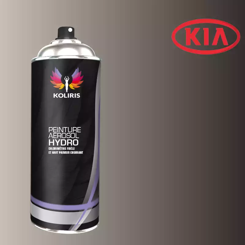 Bombe de peinture voiture hydro Kia 400ml