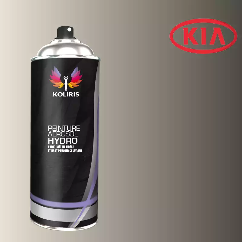 Bombe de peinture voiture hydro Kia 400ml