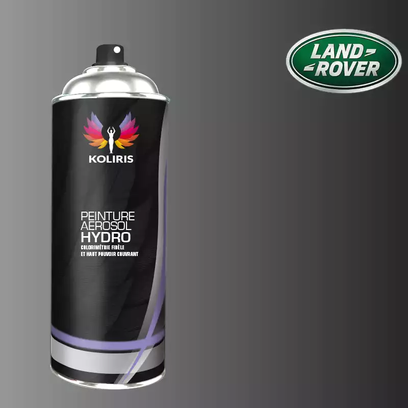 Bombe de peinture voiture hydro Landrover 400ml