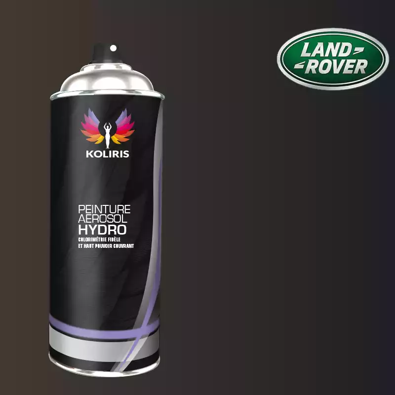 Bombe de peinture voiture hydro Landrover 400ml