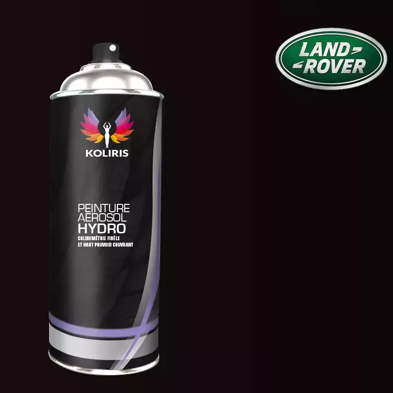 Bombe de peinture voiture hydro Landrover 400ml