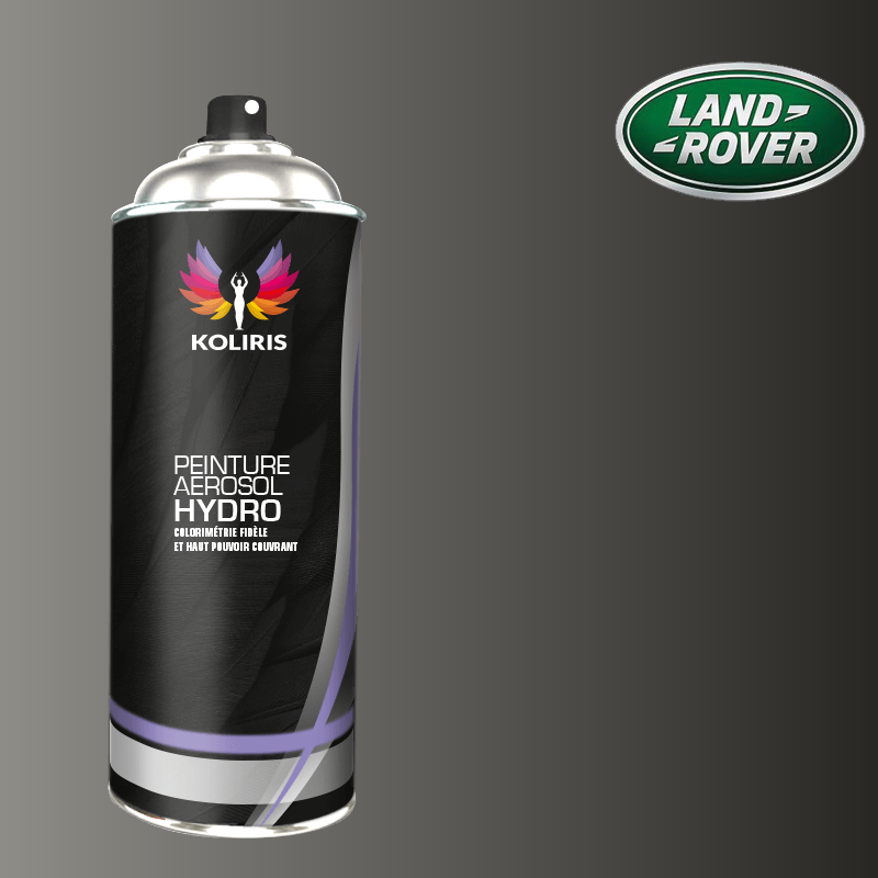 Bombe de peinture voiture hydro Landrover 400ml