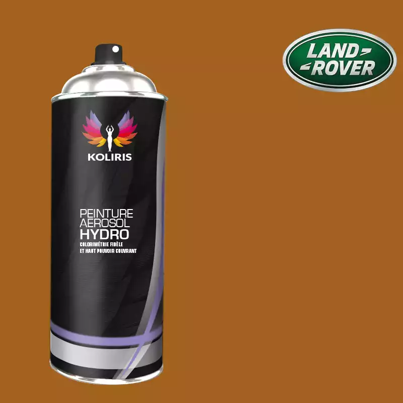 Bombe de peinture voiture hydro Landrover 400ml