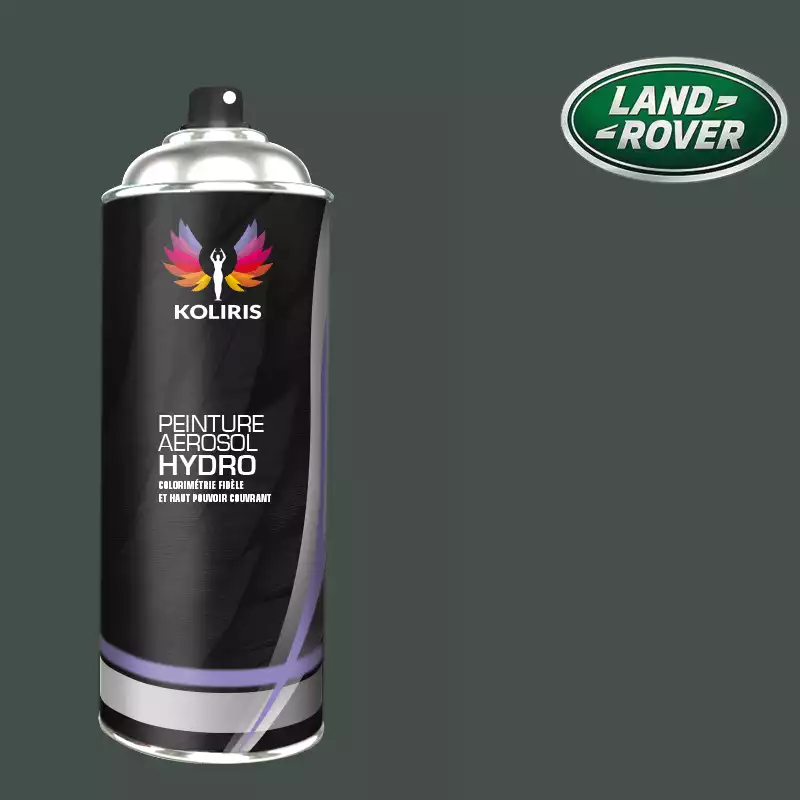 Bombe de peinture voiture hydro Landrover 400ml