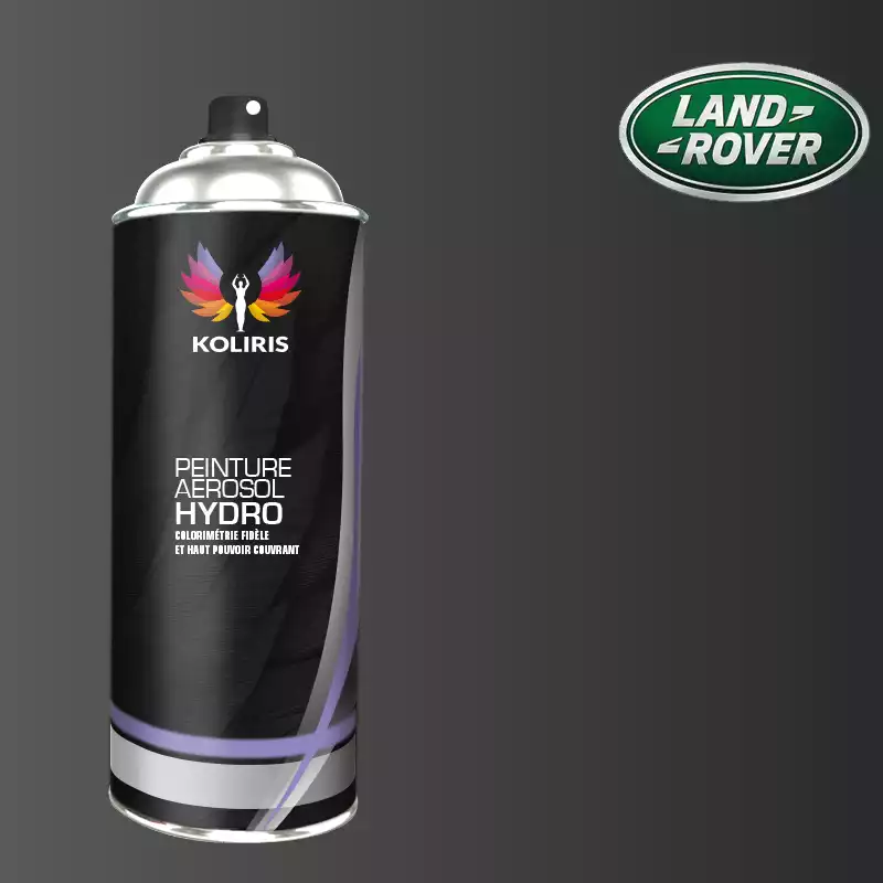 Bombe de peinture voiture hydro Landrover 400ml