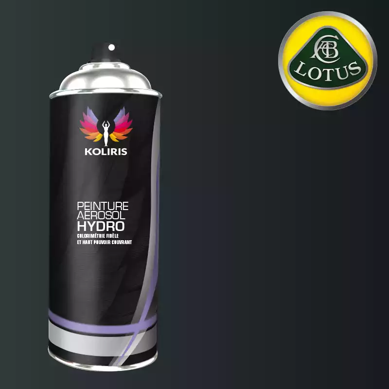 Bombe de peinture voiture hydro Lotus 400ml