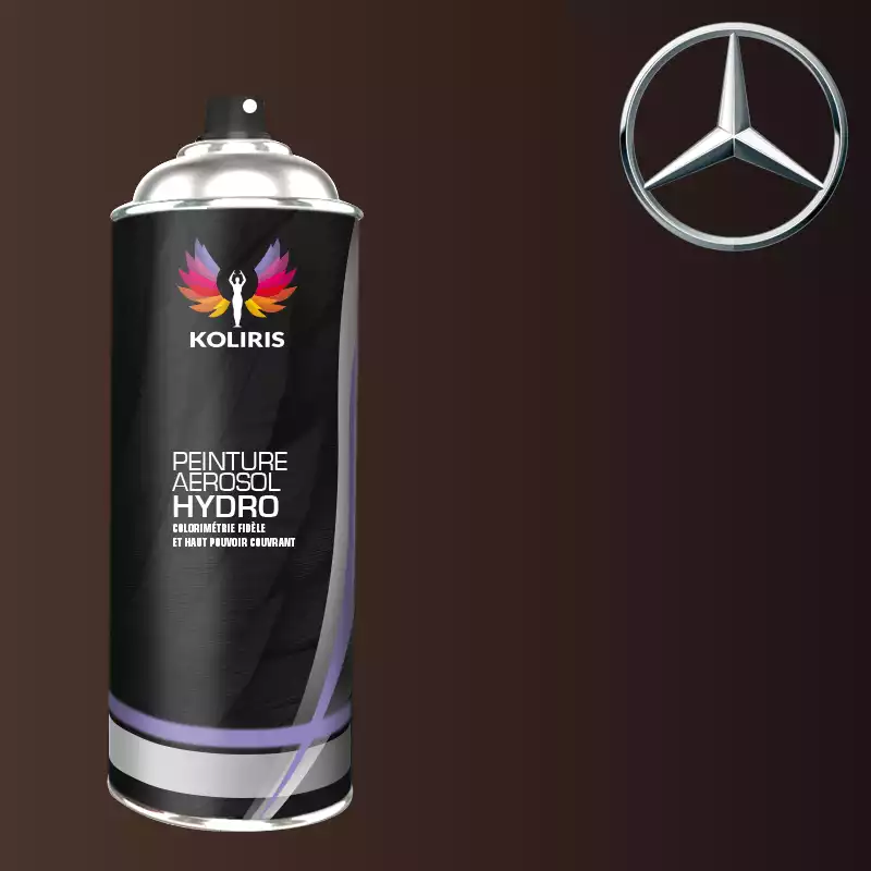 Bombe de peinture voiture hydro Mercedes Benz 400ml