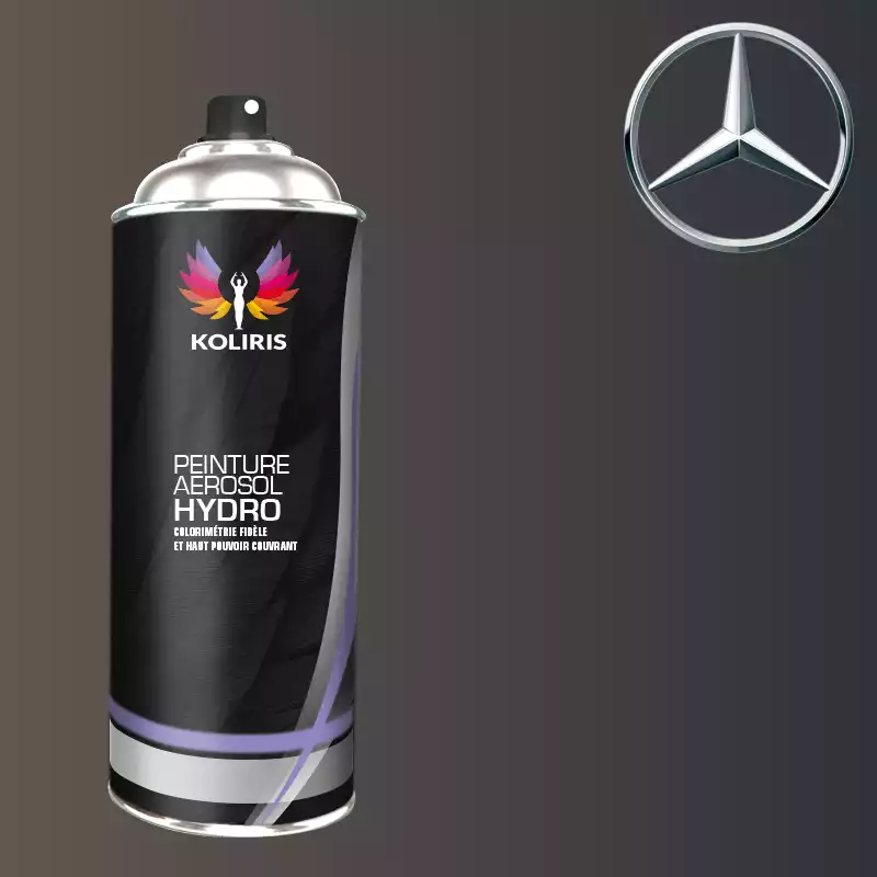 Bombe de peinture voiture hydro Mercedes Benz 400ml