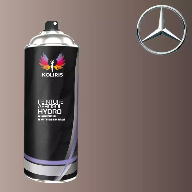 Bombe de peinture voiture hydro Mercedes Benz 400ml