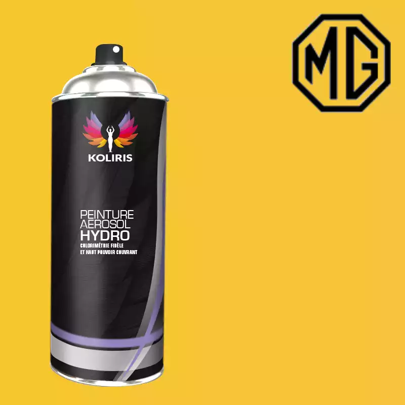 Bombe de peinture voiture hydro Mg 400ml