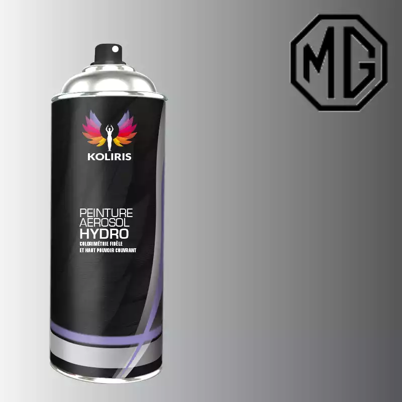 Bombe de peinture voiture hydro Mg 400ml