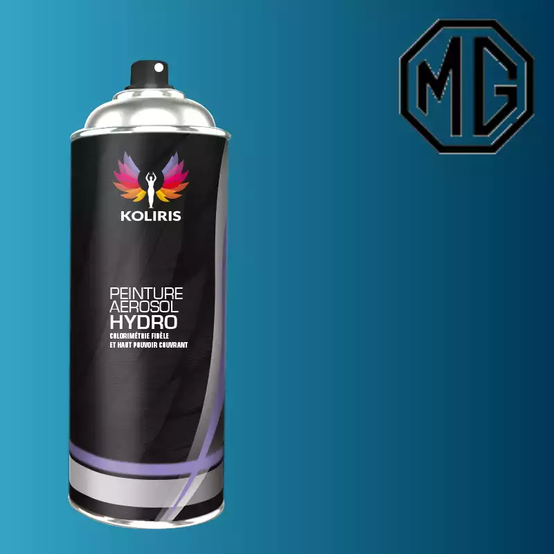 Bombe de peinture voiture hydro Mg 400ml