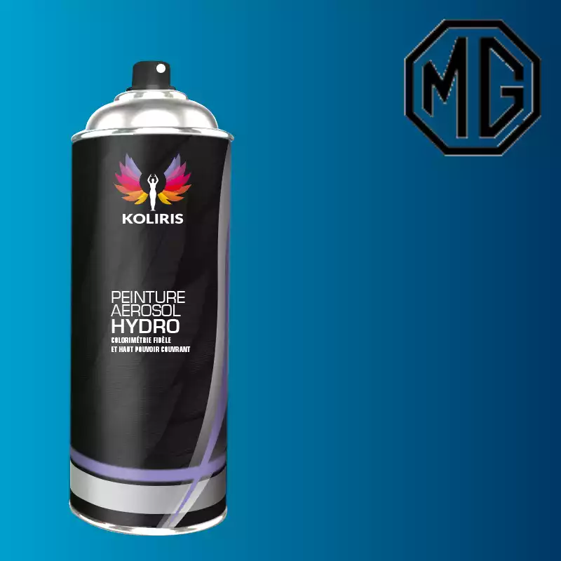 Bombe de peinture voiture hydro Mg 400ml