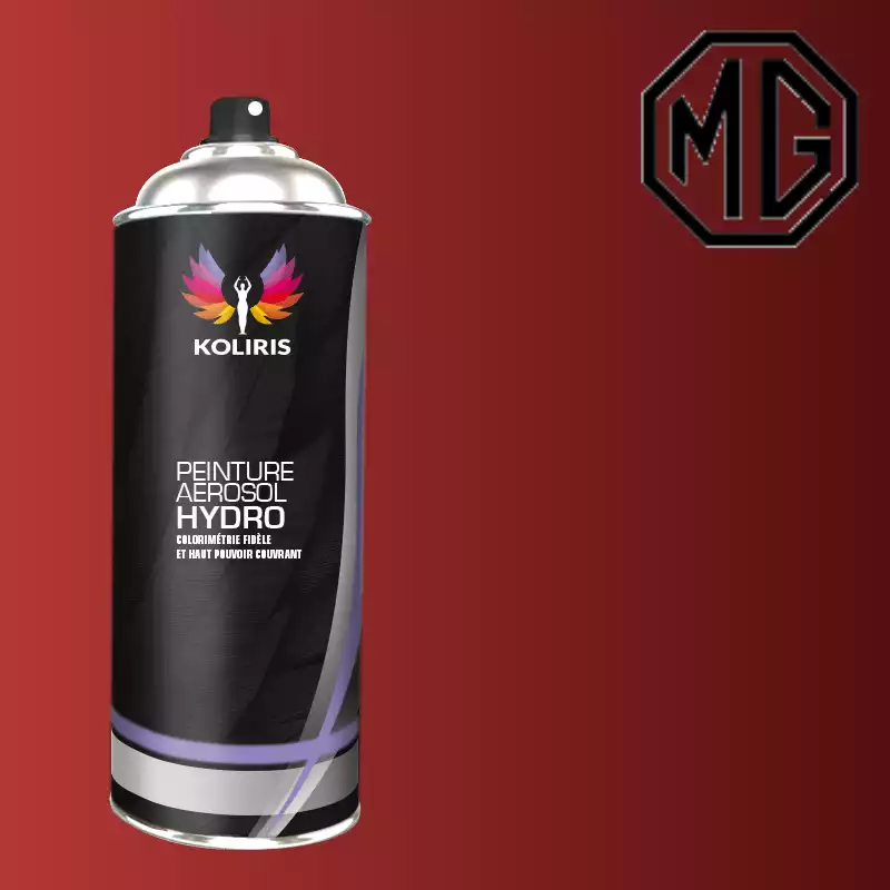 Bombe de peinture voiture hydro Mg 400ml