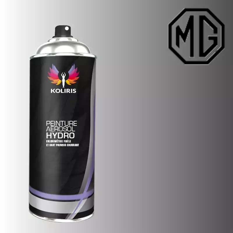 Bombe de peinture voiture hydro Mg 400ml