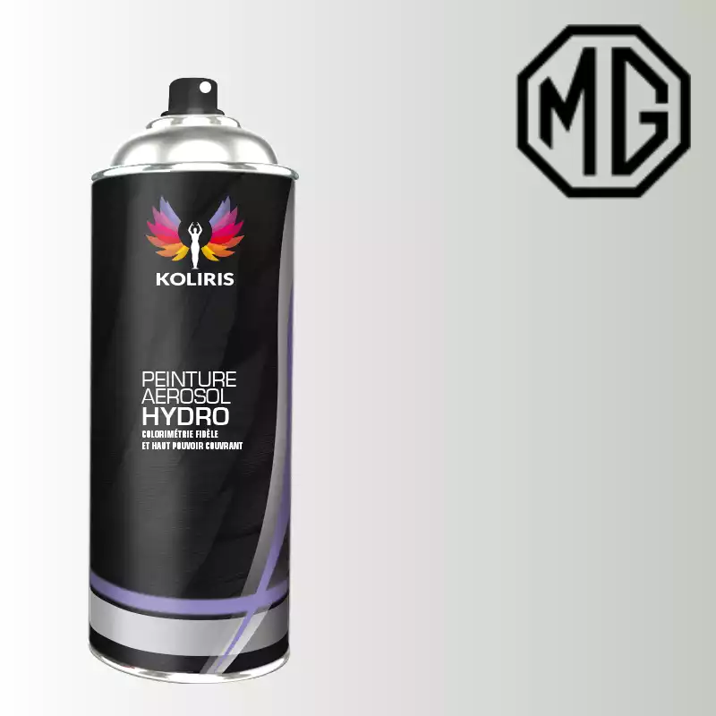 Bombe de peinture voiture hydro Mg 400ml