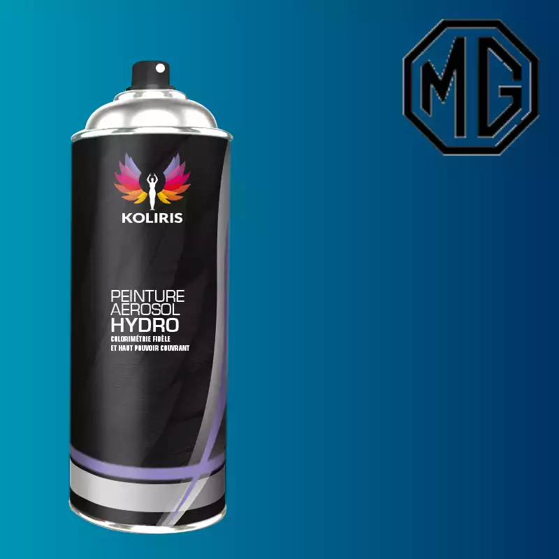 Bombe de peinture voiture hydro Mg 400ml