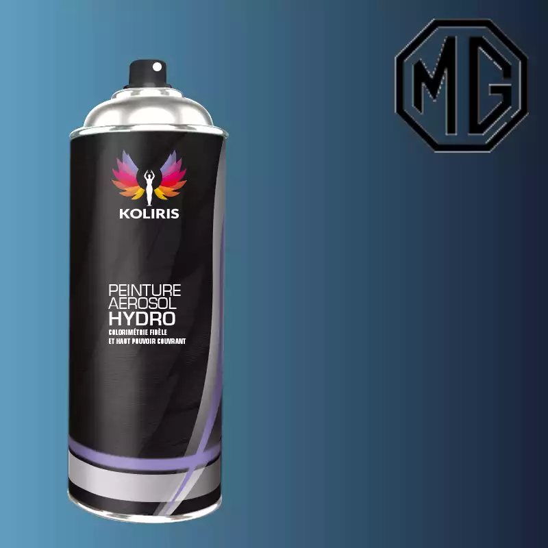 Bombe de peinture voiture hydro Mg 400ml