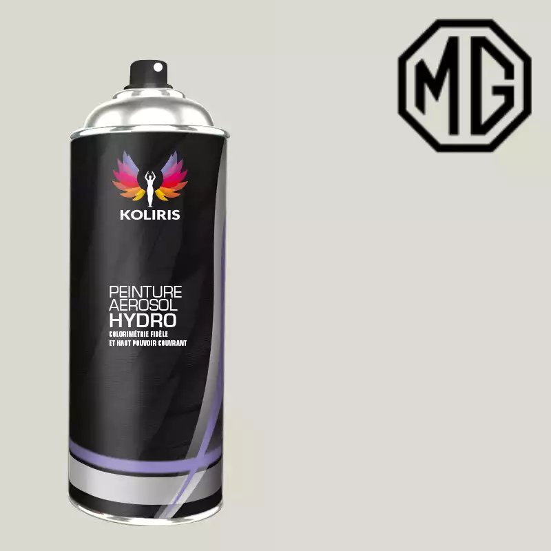 Bombe de peinture voiture hydro Mg 400ml
