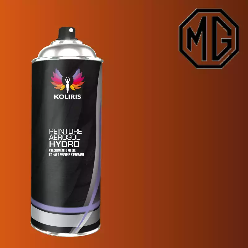 Bombe de peinture voiture hydro Mg 400ml