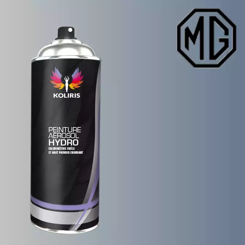 Bombe de peinture voiture hydro Mg 400ml