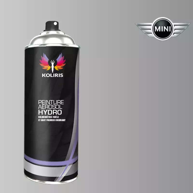 Bombe de peinture voiture hydro Mini 400ml