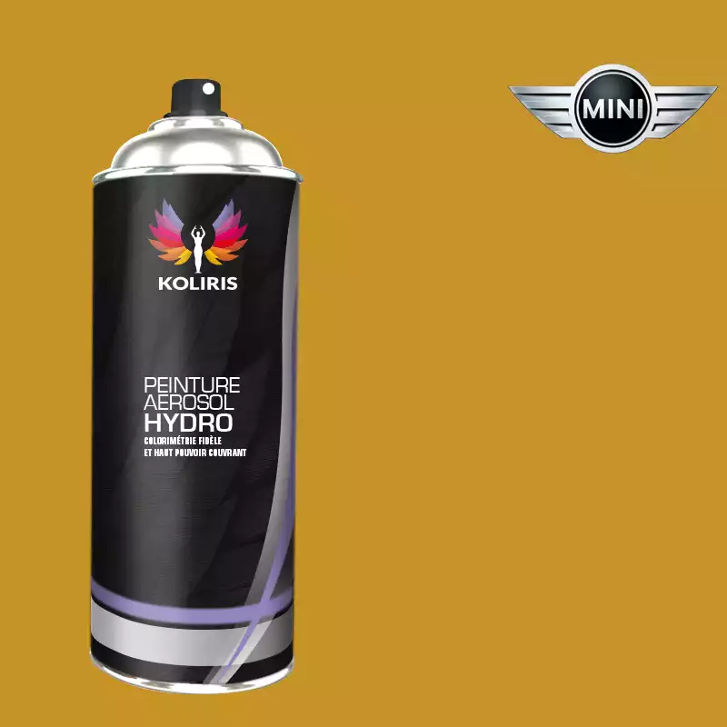 Bombe de peinture voiture hydro Mini 400ml