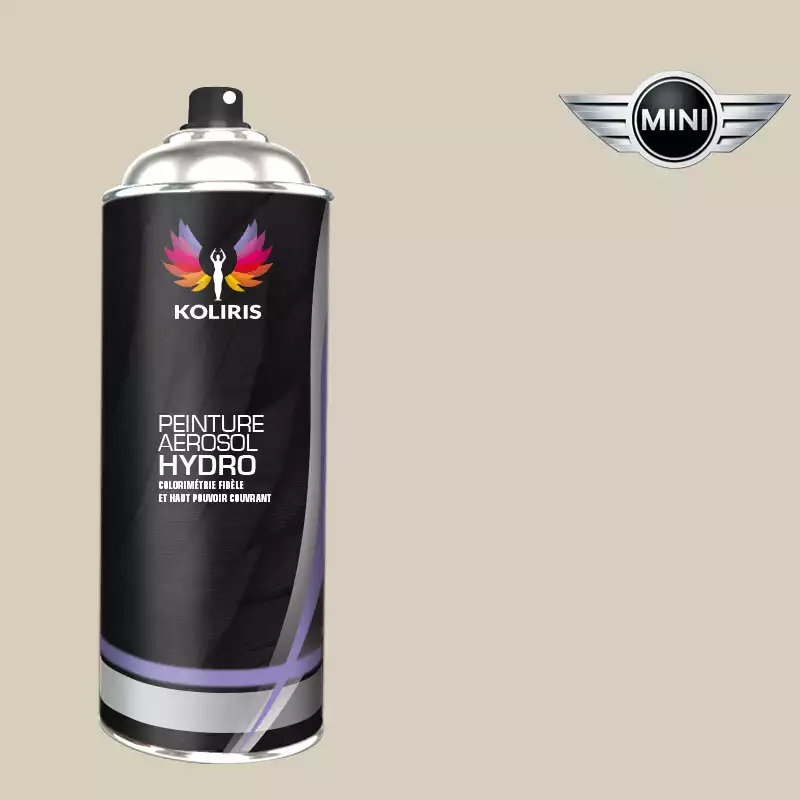 Bombe de peinture voiture hydro Mini 400ml
