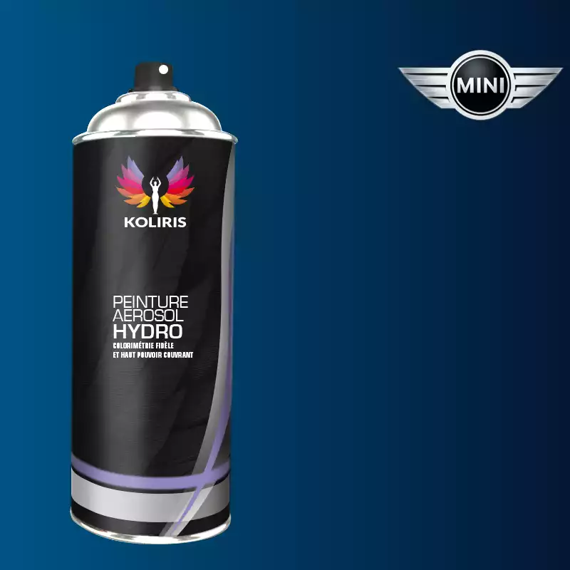 Bombe de peinture voiture hydro Mini 400ml