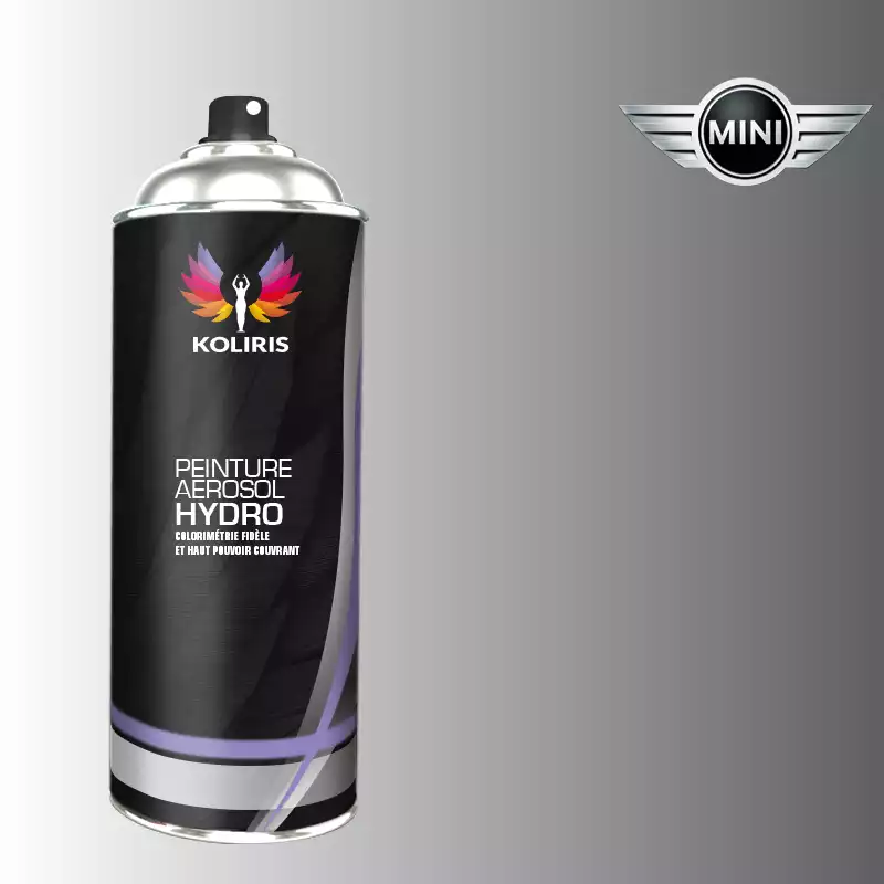 Bombe de peinture voiture hydro Mini 400ml