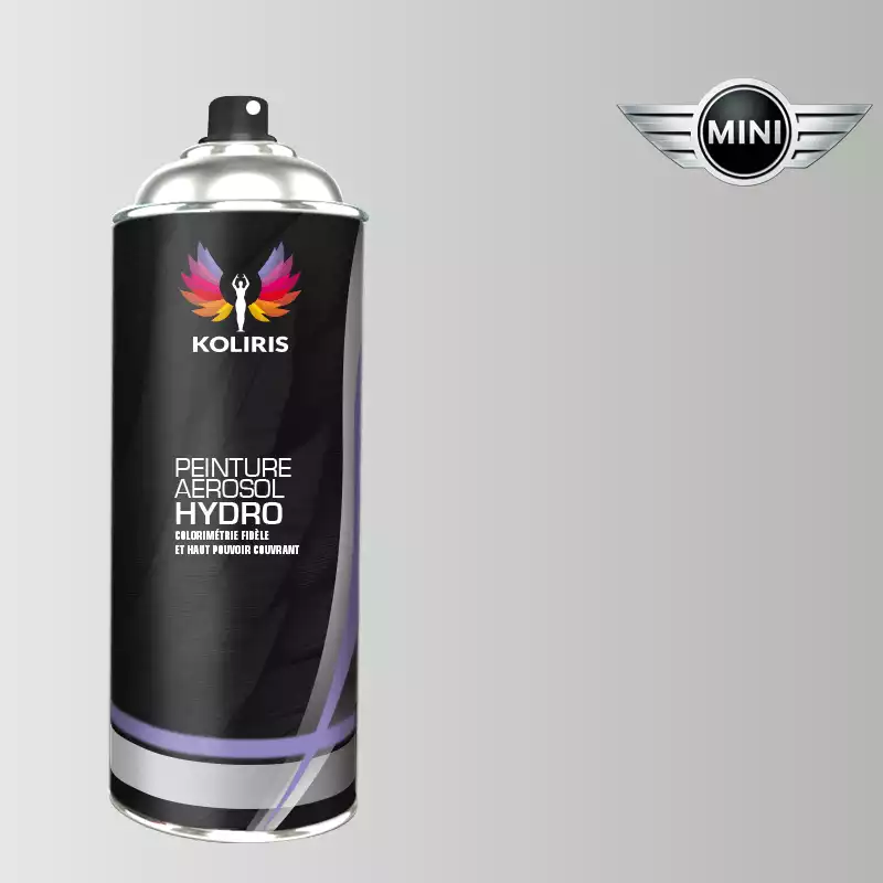 Bombe de peinture voiture hydro Mini 400ml