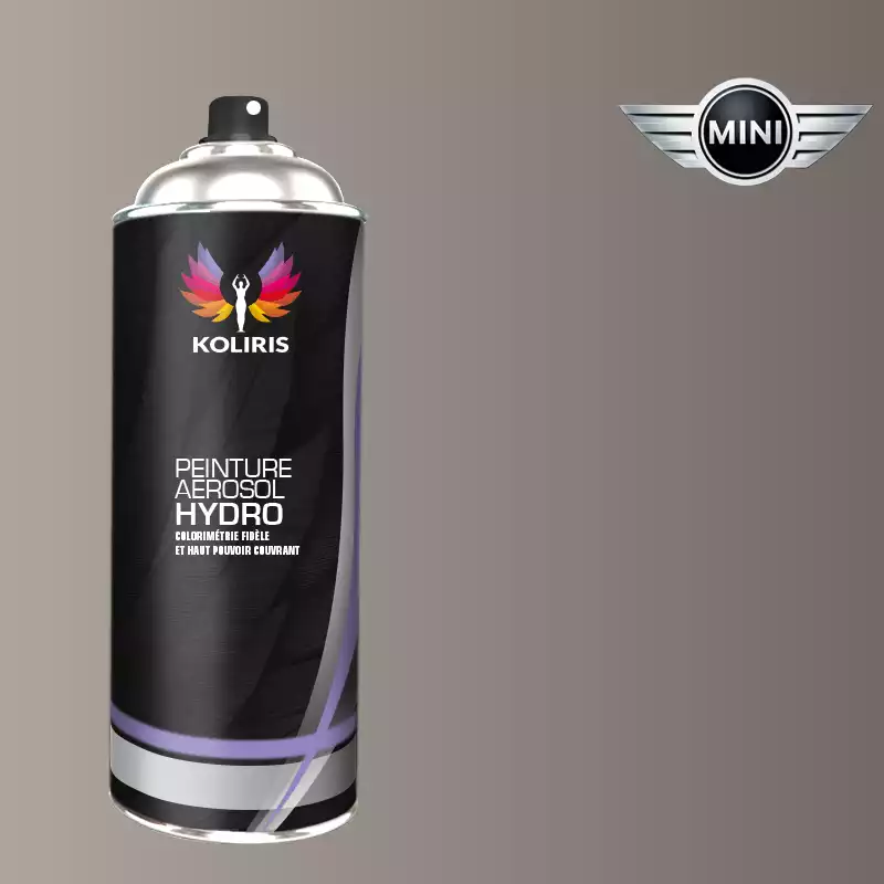 Bombe de peinture voiture hydro Mini 400ml