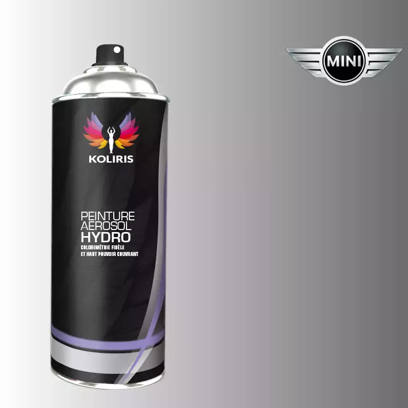 Bombe de peinture voiture hydro Mini 400ml