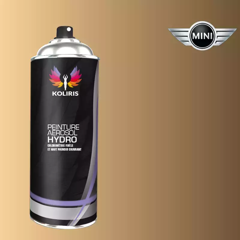 Bombe de peinture voiture hydro Mini 400ml