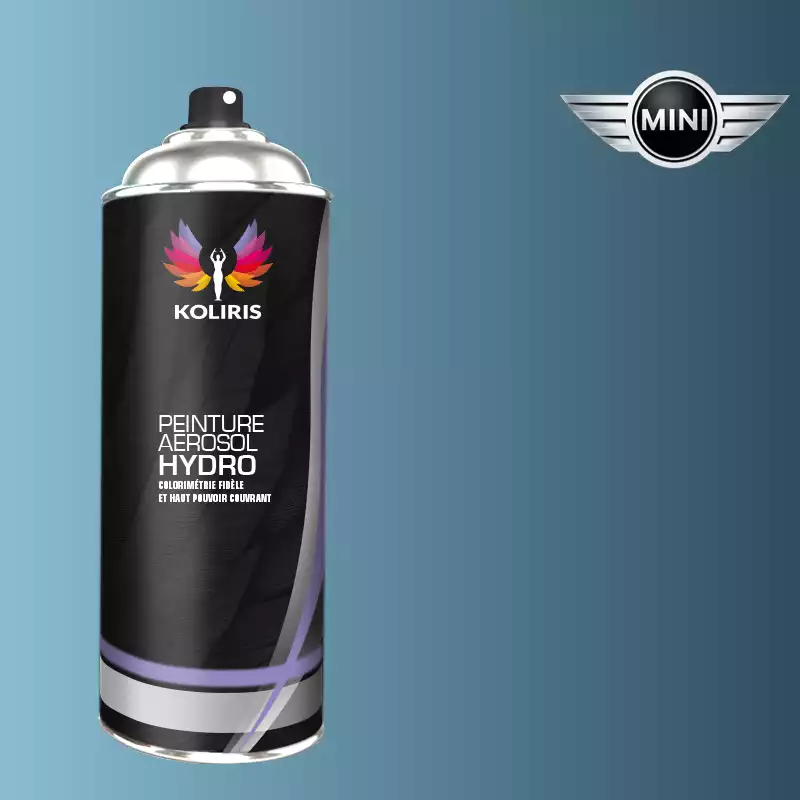 Bombe de peinture voiture hydro Mini 400ml